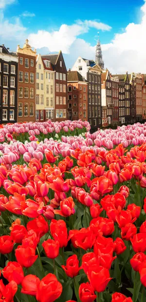 Take A Dive Into Nature And Explore The Depths Of An Underwater Sea Cave. Wallpaper