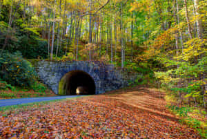 Take A Drive Along The Majestic Blue Ridge Parkway Wallpaper