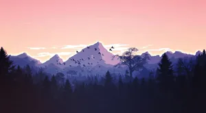 Take A Hike And Enjoy Nature's Beauty. Wallpaper