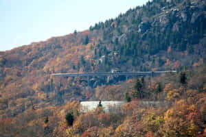 Take A Hike On The Blue Ridge Parkway Wallpaper