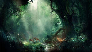 Take A Journey Through A Magical Fantasy Forest Wallpaper