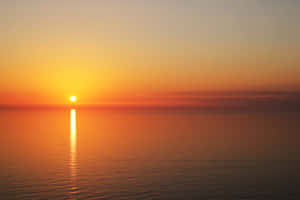 Take A Moment To Appreciate Nature’s Beauty. Wallpaper