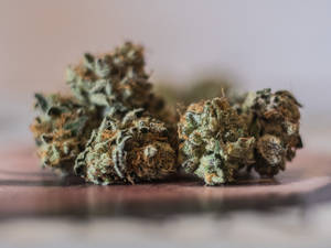 Take A Moment To Chill And Enjoy These High-grade Dried Cannabis Buds. Wallpaper