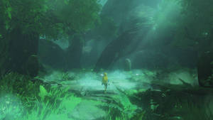 Take A Stroll Through The Vast Green Wilds Of Hyrule. Wallpaper