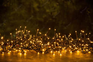 Take A Stroll Under The Enchanting Glow Of These Christmas Lights. Wallpaper