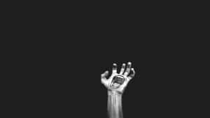 Take A Trip To The Beachy Paradise - Santa Cruz Wallpaper