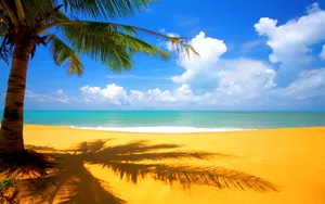 Take A Vacation To Paradise Wallpaper