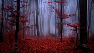 Take A Walk Through This Vibrant Red Forest Wallpaper