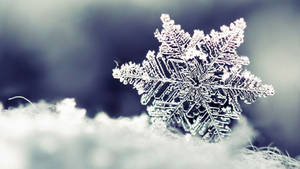 Take A Winter Break With A Beautiful Snow Desktop Wallpaper Wallpaper