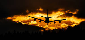 Take Flight Into The Setting Sun Wallpaper