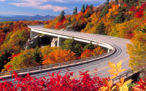 Take In The Beautiful Autumn Views While Driving Along The Blue Ridge Parkway. Wallpaper