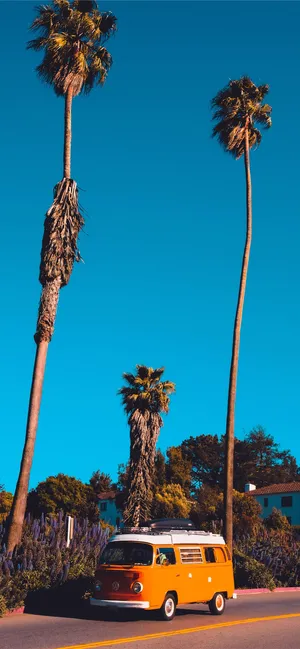 Take In The Beautiful California Aesthetic Wallpaper