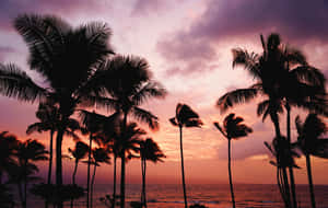 Take In The Beauty Of A Hawaiian Sunset Wallpaper