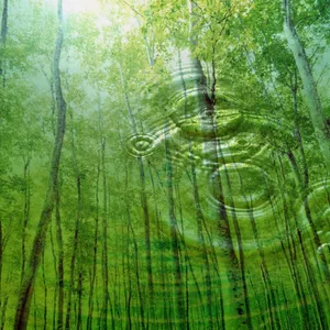 Take In The Beauty Of Mother Nature Wallpaper