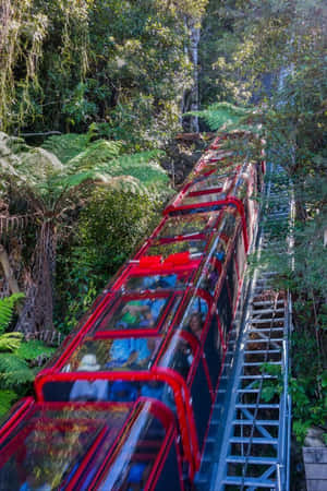 Take In The Breathtaking Beauty Of The Blue Mountains National Park Wallpaper
