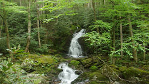 Take In The Breathtaking Views Of Great Smoky Mountains Wallpaper