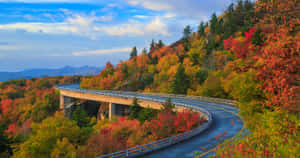 Take In The Natural Beauty Of The Blue Ridge Parkway Wallpaper