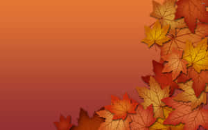 “take In The Vibrant Fall Colors” Wallpaper