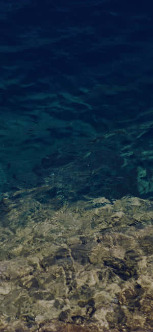 Take Your Iphone Along For Underwater Adventures Wallpaper