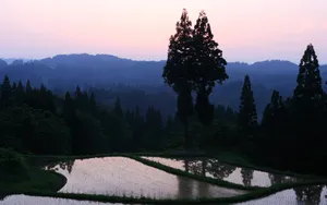 Taking In The Majesty Of The Alps Wallpaper