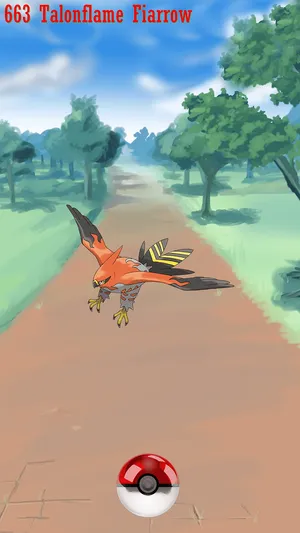 Talonflame Pokemon Encounter Wallpaper