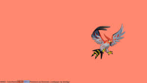 Talonflame Pokemon Fire Flying Wallpaper Wallpaper
