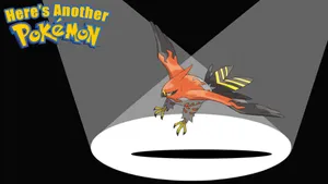 Talonflame Pokemon Spotlight Wallpaper