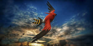 Talonflamein Evening Sky Wallpaper