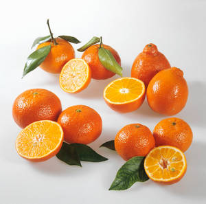 Tangelo And Other Citrus Fruits Wallpaper