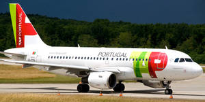 Tap Portugal Plane Near Forest Wallpaper
