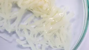 Tapeworm Specimen Examination Wallpaper