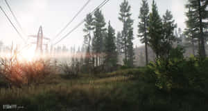 Tarkov_ Sunrise_ Powerline_ Scene Wallpaper