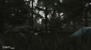 Tarkov Woodland Campsite Alpha Wallpaper