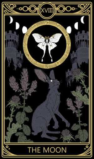 Tarot Card The Moon X V I I I Wallpaper