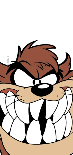Tasmanian Devil Taz Looney Tunes Wallpaper