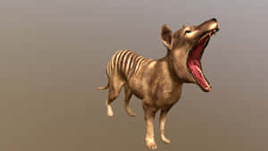 Tasmanian Tiger Yawning3 D Model Wallpaper