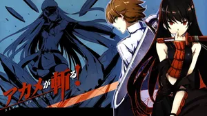 Tatsumi, Akame, And Esdeath Wallpaper