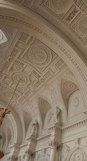 Taupe Architectural Ceiling Design Wallpaper