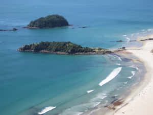 Tauranga Coastal View New Zealand Wallpaper