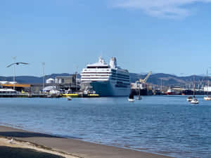 Tauranga Harbor Cruise Ship Docked Wallpaper