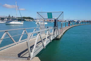 Tauranga Marina Gangway New Zealand Wallpaper