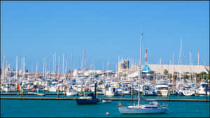 Tauranga Marina Sailboats New Zealand Wallpaper