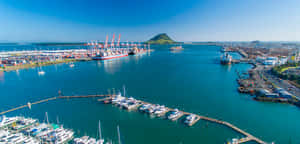 Tauranga Portand Marina Aerial View Wallpaper