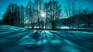 Teal Effect Winter Scenery Desktop Wallpaper