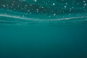 Teal Under The Sea Wallpaper