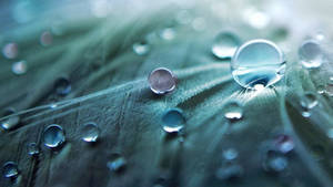 Teal Water Drops Wallpaper