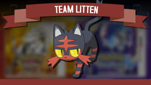 Team Litten With Banner Wallpaper