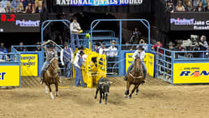 Team Roping Entrance Wallpaper