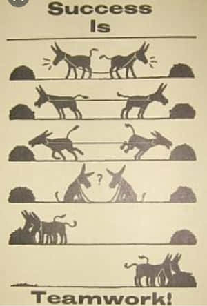 Teamwork Makes The Dream Work!