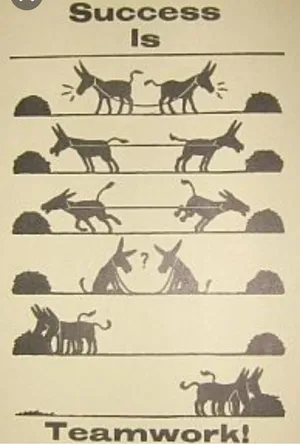 Teamwork Makes The Dream Work!